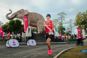 BIB: 
                            <button type="button" onclick="openModal(26529135)" class="btn btn-primary btn-sm float-right btn-popup" data-toggle="modal" data-target=".modal-high-quality">
                        <i class="fas fa-shopping-cart"></i> Add to Cart
                    </button>
                                            <button type="button" onclick="isThisMe(26529135, true)" class="btn btn-success btn-sm float-right btn-popup btn-isme hidden" data-toggle="tooltip" data-placement="bottom" title="นี่คือรูปของคุณใช่ไหม คลิกที่นี่เพื่อเอาเข้าอัลบั้ม">
                        <i class="fas fa-plus"></i> Add to album
                    </button>
                    <button type="button" onclick="isThisMe(26529135, false)" class="btn btn-warning btn-sm float-right btn-popup btn-isnotme hidden">
                        <i class="fas fa-ban"></i> Remove from album
                    </button>